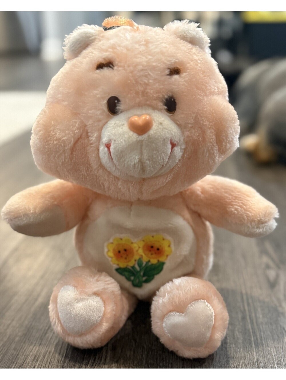 Vtg Kenner Care Bears Friend Bear Plush 13" Stuffed Animal Toy 1983 Flowers
